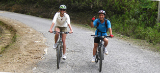 Biking Tours