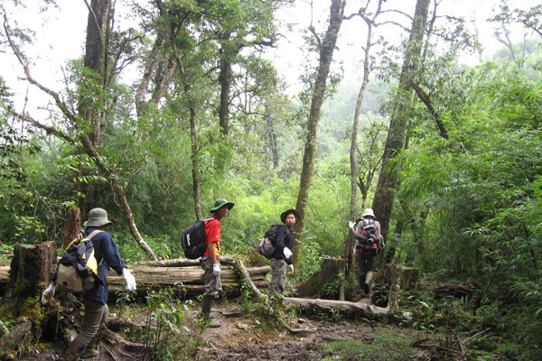 Hoang Lien National Park