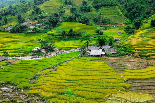 Sapa Tour by Bus from Hanoi with 2 Nights Hotel stay